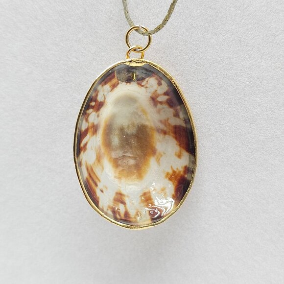 Natural Limpet Shell Pendant Necklace With Gold Finish Vintage - Picture 3 of 5